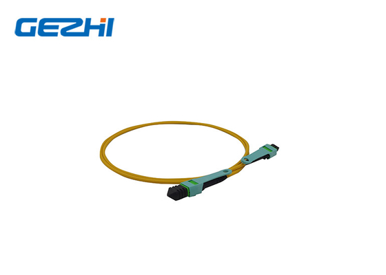 Αναβαθμίστε το δίκτυό σας με το LC OM3/OM4 8/12/24f MPO/MTP Fiber Optic Patch Cord MPO