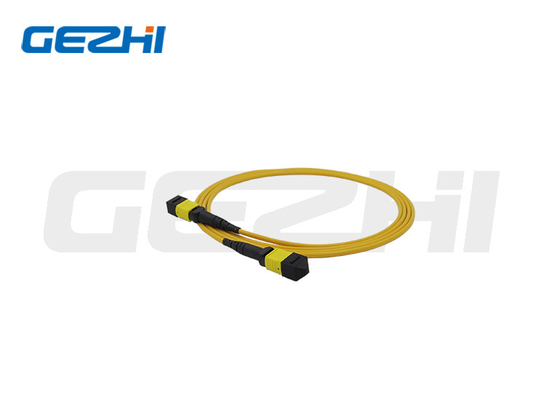 MTP / MPO 12 Core OS2 Custom Fiber Patch Cables σε παθητικά εξαρτήματα