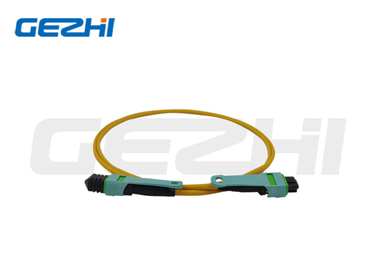 24-Core OS2 Fiber Patch Cord Προσαρμοσμένα μήκη για FTTX / CATV